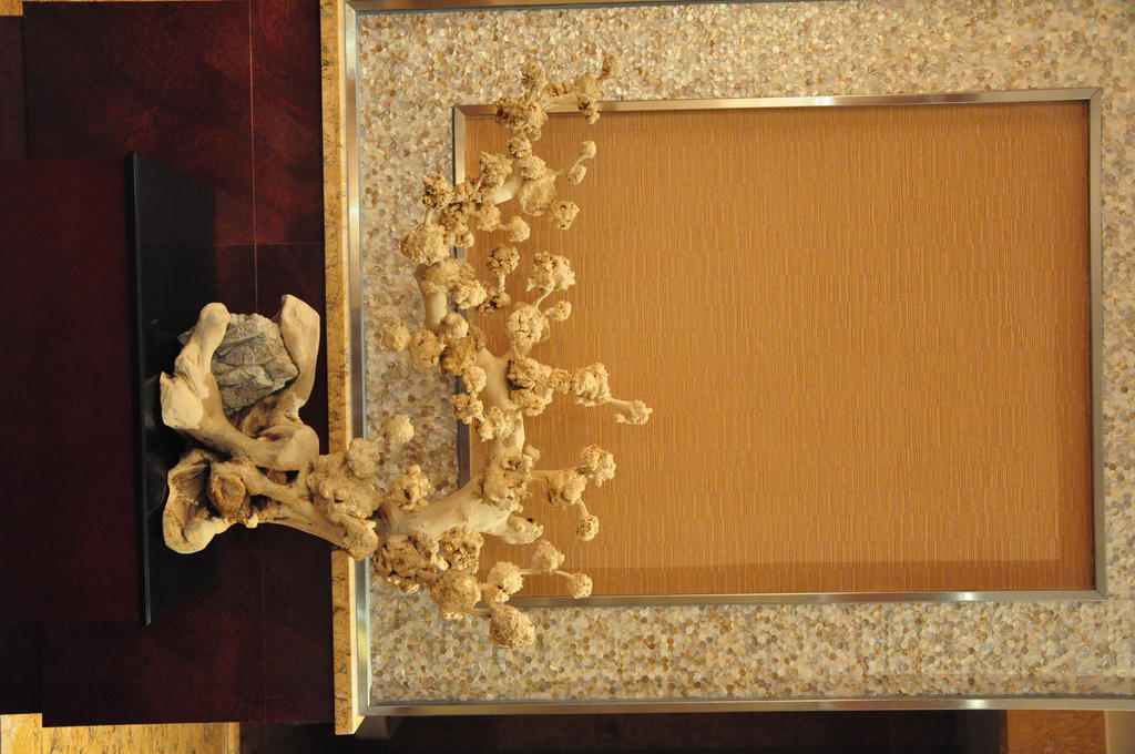 Cinese Hotel Dongguan Shijie Esterno foto